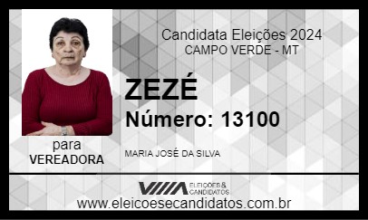 Candidato ZEZÉ DA FARTURA 2024 - CAMPO VERDE - Eleições