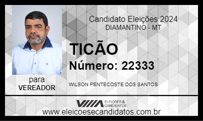 Candidato TICÃO 2024 - DIAMANTINO - Eleições