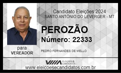 Candidato PEROZÃO 2024 - SANTO ANTÔNIO DO LEVERGER - Eleições