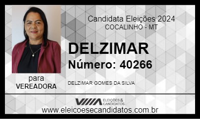 Candidato DELZIMAR 2024 - COCALINHO - Eleições