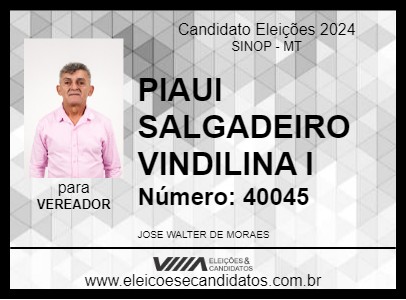 Candidato PIAUI SALGADEIRO VINDILINA I 2024 - SINOP - Eleições