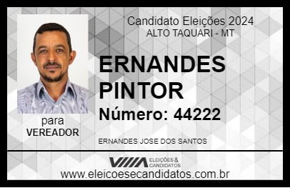 Candidato ERNANDES PINTOR 2024 - ALTO TAQUARI - Eleições