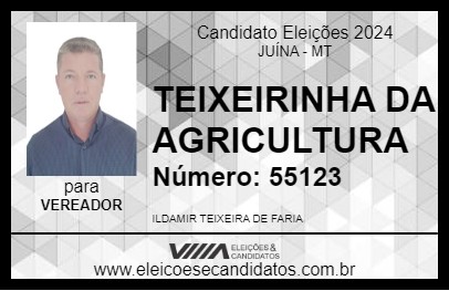 Candidato TEIXEIRINHA DA AGRICULTURA 2024 - JUÍNA - Eleições