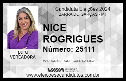 Candidato NICE ROGRIGUES 2024 - BARRA DO GARÇAS - Eleições