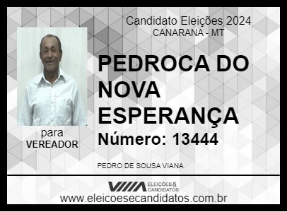 Candidato PEDROCA DO NOVA ESPERANÇA 2024 - CANARANA - Eleições