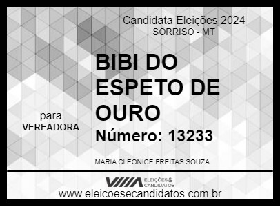 Candidato BIBI DO ESPETO DE OURO 2024 - SORRISO - Eleições