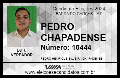 Candidato PEDRO CHAPADENSE 2024 - BARRA DO GARÇAS - Eleições