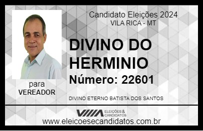 Candidato DIVINO DO HERMINIO 2024 - VILA RICA - Eleições