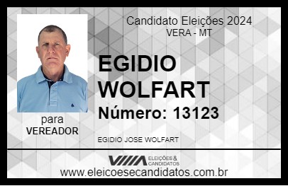 Candidato EGIDIO WOLFART 2024 - VERA - Eleições