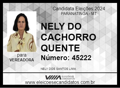 Candidato NELY DO CACHORRO QUENTE 2024 - PARANATINGA - Eleições