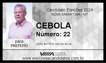 Candidato CEBOLA 2024 - NOVA XAVANTINA - Eleições