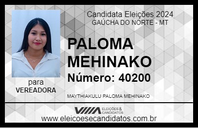 Candidato PALOMA MEHINAKO 2024 - GAÚCHA DO NORTE - Eleições