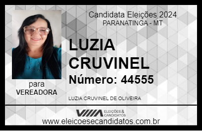 Candidato LUZIA CRUVINEL 2024 - PARANATINGA - Eleições