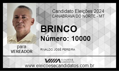 Candidato BRINCO 2024 - CANABRAVA DO NORTE - Eleições