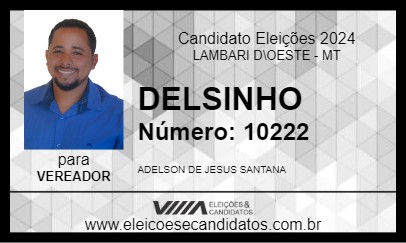 Candidato DELSINHO 2024 - LAMBARI D\OESTE - Eleições