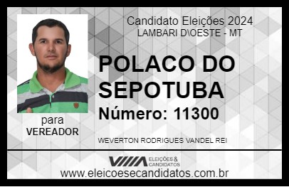 Candidato POLACO DO SEPOTUBA 2024 - LAMBARI D\OESTE - Eleições