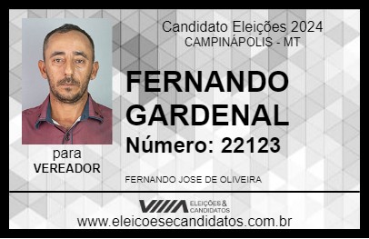 Candidato FERNANDO GARDENAL 2024 - CAMPINÁPOLIS - Eleições