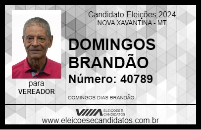 Candidato DOMINGOS BRANDÃO 2024 - NOVA XAVANTINA - Eleições