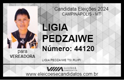 Candidato LIGIA PEDZAIWE 2024 - CAMPINÁPOLIS - Eleições