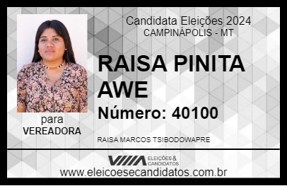 Candidato RAISA PINITA AWE 2024 - CAMPINÁPOLIS - Eleições