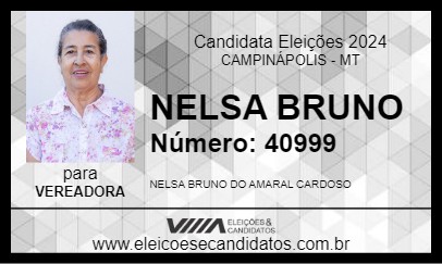 Candidato NELSA BRUNO 2024 - CAMPINÁPOLIS - Eleições