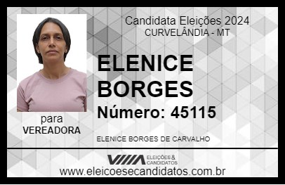 Candidato ELENICE BORGES 2024 - CURVELÂNDIA - Eleições