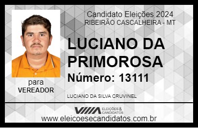 Candidato LUCIANO DA PRIMOROSA 2024 - RIBEIRÃO CASCALHEIRA - Eleições