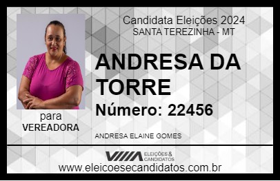 Candidato ANDRESA DA TORRE 2024 - SANTA TEREZINHA - Eleições