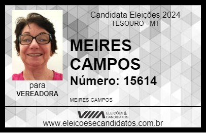 Candidato MEIRES CAMPOS 2024 - TESOURO - Eleições