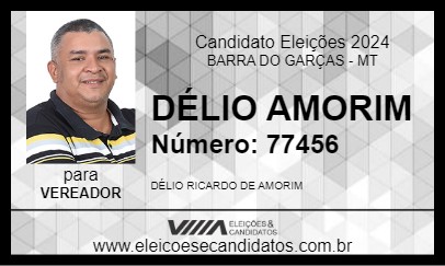 Candidato DÉLIO AMORIM 2024 - BARRA DO GARÇAS - Eleições