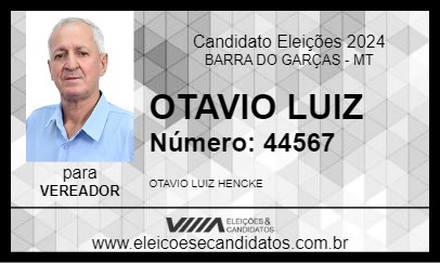 Candidato OTAVIO LUIZ 2024 - BARRA DO GARÇAS - Eleições