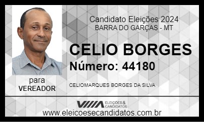 Candidato CELIO BORGES 2024 - BARRA DO GARÇAS - Eleições