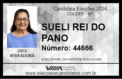 Candidato SUELI REI DO PANO 2024 - COLÍDER - Eleições