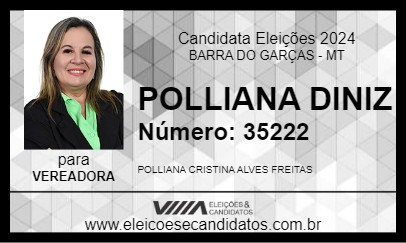 Candidato POLLIANA DINIZ 2024 - BARRA DO GARÇAS - Eleições