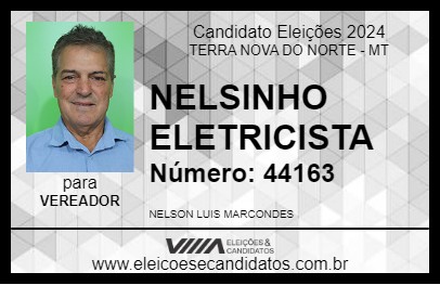 Candidato NELSINHO ELETRICISTA 2024 - TERRA NOVA DO NORTE - Eleições