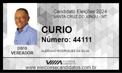 Candidato CURIO 2024 - SANTA CRUZ DO XINGU - Eleições