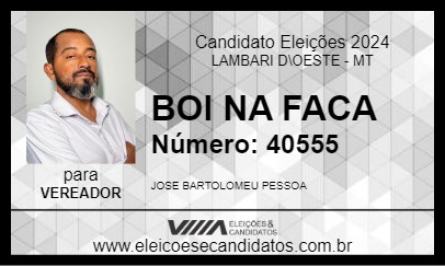 Candidato BOI NA FACA 2024 - LAMBARI D\OESTE - Eleições