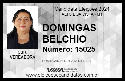 Candidato DOMINGAS BELCHIO 2024 - ALTO BOA VISTA - Eleições