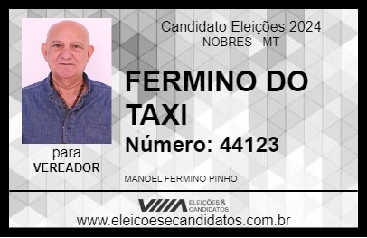 Candidato FERMINO DO TAXI 2024 - NOBRES - Eleições