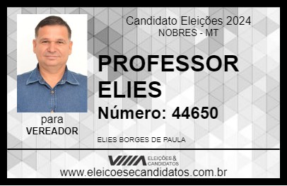 Candidato PROFESSOR ELIES 2024 - NOBRES - Eleições