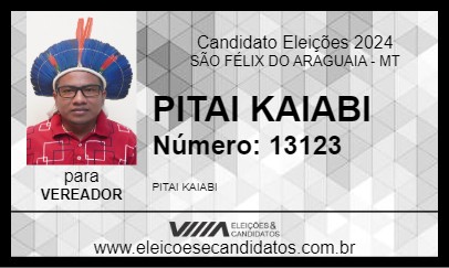 Candidato PITAI KAIABI 2024 - SÃO FÉLIX DO ARAGUAIA - Eleições