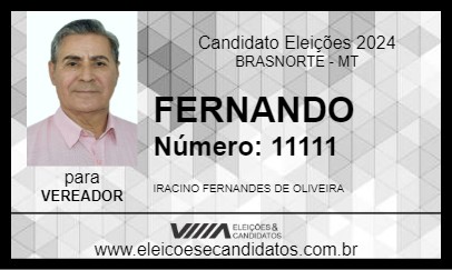 Candidato FERNANDO 2024 - BRASNORTE - Eleições