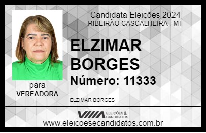 Candidato ELZIMAR BORGES 2024 - RIBEIRÃO CASCALHEIRA - Eleições