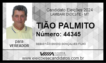 Candidato TIÃO PALMITO 2024 - LAMBARI D\OESTE - Eleições