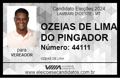 Candidato OZEIAS DE LIMA DO PINGADOR 2024 - LAMBARI D\OESTE - Eleições