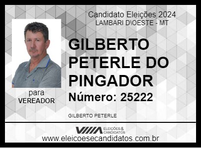 Candidato GILBERTO PETERLE DO PINGADOR 2024 - LAMBARI D\OESTE - Eleições