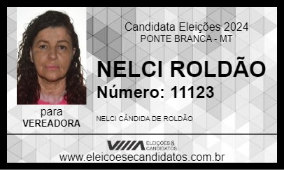 Candidato NELCI ROLDÃO 2024 - PONTE BRANCA - Eleições