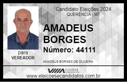 Candidato AMADEUS BORGES 2024 - QUERÊNCIA - Eleições