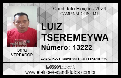 Candidato LUIZ TSEREMEYWA 2024 - CAMPINÁPOLIS - Eleições