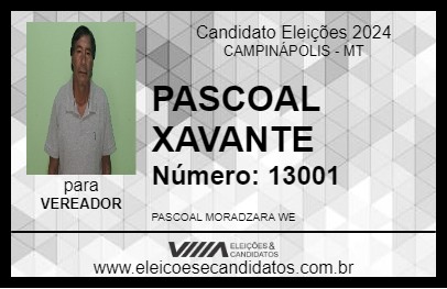 Candidato PASCOAL XAVANTE 2024 - CAMPINÁPOLIS - Eleições